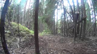 Commencal Meta AM 29