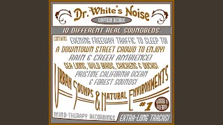 Evening Freeway Traffic Soundbed