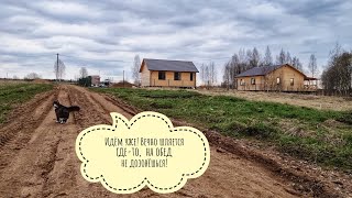 Кот Мурлок помогает по хозяйству: строит вольер и стережёт мышей
