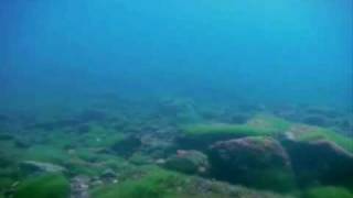 Ice Diving in Baikal
