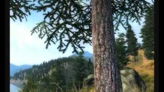 The beauty of a video game - Oblivion