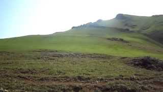 Gedebey Sinix Isali