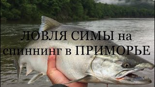 ЛОВЛЯ СИМЫ на спиннинг в Приморье!