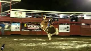 Cuilo en  Toro el FLOREADO final del grupo de monta espuelas del Atlántico