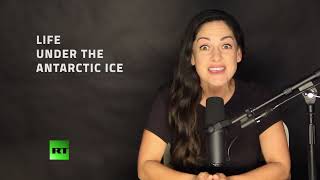Alien oasis of life discovered under Antarctic ice