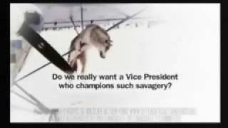 Most Effective Ad Against Palin