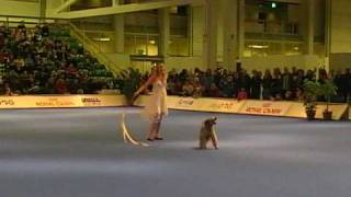 NM freestyle Emma & Csar