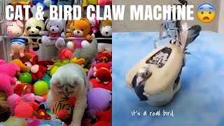 BIRD CLAW MACHINE