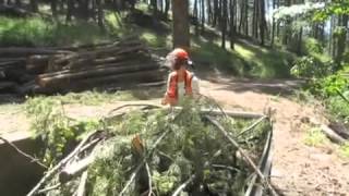 Moving Slash in Small Scale Logging