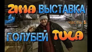 Зимняя выставка голубей 2018. Голуби Тула. Часть 1.