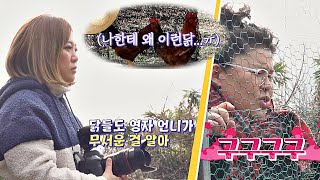 닭도 주눅 들게 하는 대모 이영자(Lee Yeongja)♨ (제가 잘못했닭ㅠ) 랜선라이프(lanlife) 29회