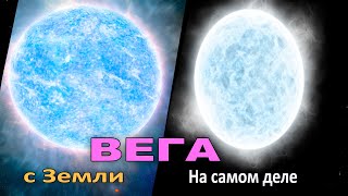 ВЕГА. САМАЯ ВАЖНАЯ ЗВЕЗДА ПОСЛЕ СОЛНЦА