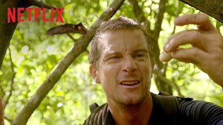 Doğaya Karşı Mücadele | İnteraktif Dizi | Resmi Fragman [HD] | Netflix