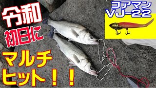 令和初日にシーバス釣れた！