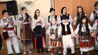 Posavski vez-šargija i violina