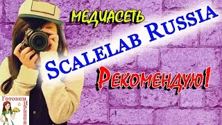 Рекомендую медиасеть Scalelab Russia