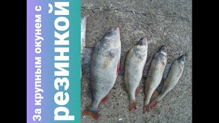 Ловля окуня на резинку.Catching bass on the rubber