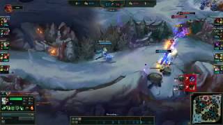 REPORT MF