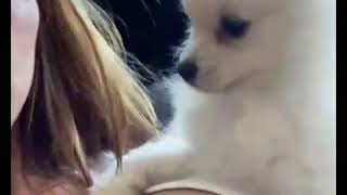 Neiva  mara jugando  con su perrita GUCCI