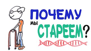 Почему мы стареем? [AsapSCIENCE]