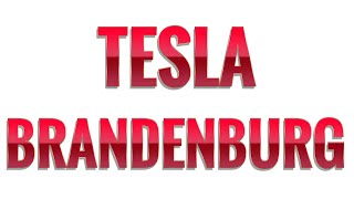 Bekommt Tesla 270 Mio. Euro Förderung? Gericht stoppt Tesla Rodungsarbeiten!