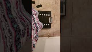 Ssbbw weigh in vlog