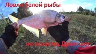 Ловля спиннингом, крупная плотва и лещ на наноджиг,  оснастка микро дроп шот (Drop shot).