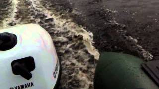 Yamaha F5AMHS EU 5 HP + Белуга - Flint-320