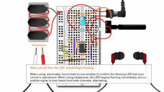 How to Construct a Blood Electrifier Circuit following Dr. Beck