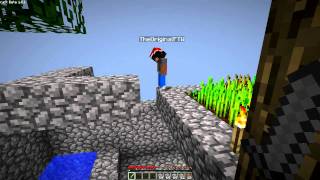 Skyblock Survival Ep. 6