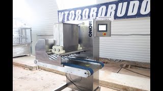 Отсадочная машина твердого теста Mono Omega Plus 400