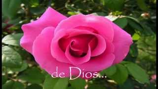 Oh Llename Espiritu de Dios - Milagros Fajardo