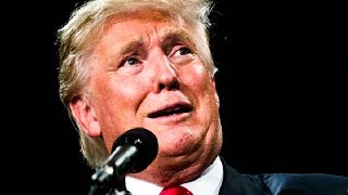 Donald Trump Is CRUMBLING Because Of His Very Stupid 2016 Campaign