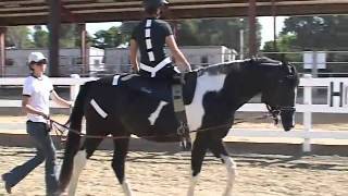Ride Along Demonstration - Hippotherapy