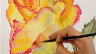 Aquarelle - How to draw a rose /// Акварель - Как нарисовать розу