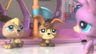 LPS The Closer #3