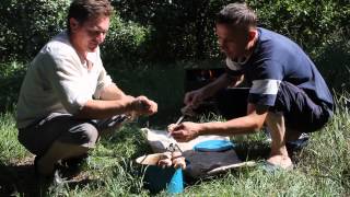 Новоайдар день рождение друга 130621 013
