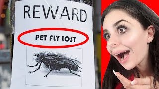 Hilarious MISSING PET Signs