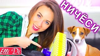 ПОСЫЛКИ ОТ ПОДПИСЧИКОВ - РАСПАКОВКА И МОЯ СОБАКА ДЖИНА - ВЫ ТОЛЬКО ПОСМОТРИТЕ! | Elli Di Pets