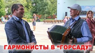 Гармонисты-рояльщики в парке - короткие сюжеты