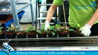 Willburg Projecten B.V.  buffer system for Mara trays