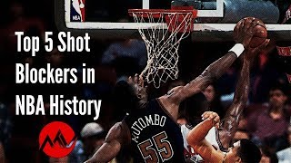 Top 5 Shot Blockers in NBA history