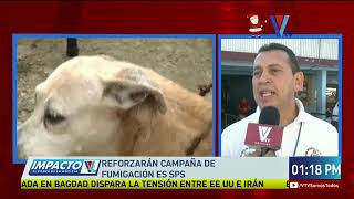 Reforzarán campaña de fumigación en SPS