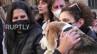 Spain: Hundreds rally demanding release of over 30 Beagles used for experimentation in Barcelona