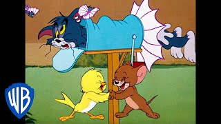 Tom y Jerry en Español | ¡P-p-p-pájaros!