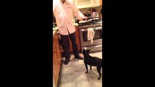 Chet Baker: Training Humans