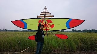 Thả diều tại hà nội ( diều 4m + bộ hòa âm D83 )