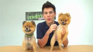 Pet Lover by Jerhigh : จอห์น วิญญู