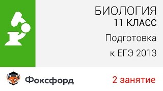 Биология. 11 класс, 2013. Занятие 2, подготовка к ЕГЭ. Центр онлайн-обучения «Фоксфорд»