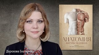 Академическая Анатомия для художников. Отзыв Екатерины Дороховой